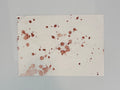 crime scene — original artwork by Matt Webb