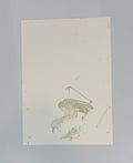 frog stomp — original artwork by Matt Webb