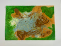 sandfish — original artwork by Matt Webb